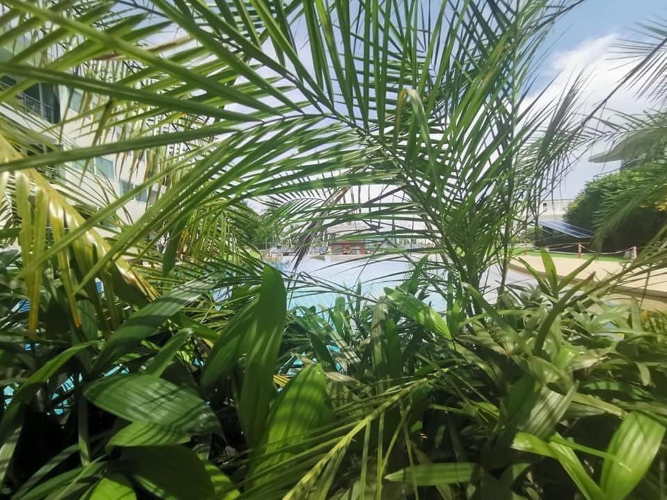 Karon Butterfly Condominuim Ban Karon ภายนอก รูปภาพ